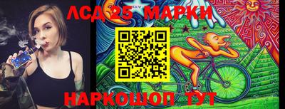 apvp Бийск