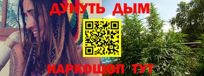 apvp Бийск