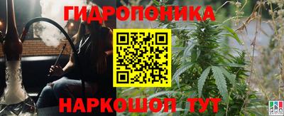 apvp Бийск